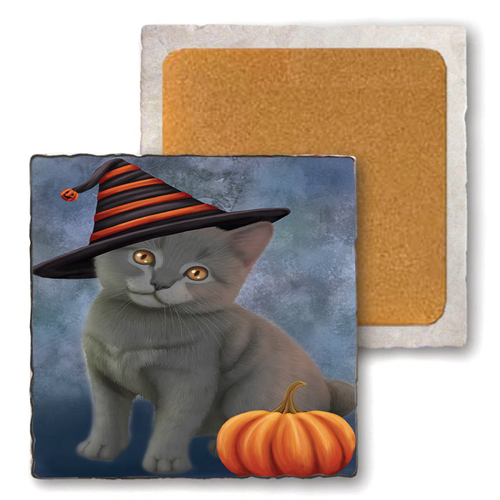 Happy Halloween Chartreux Cat Wearing Witch Hat with Pumpkin Set of 4 Natural Stone Marble Tile Coasters MCST49881