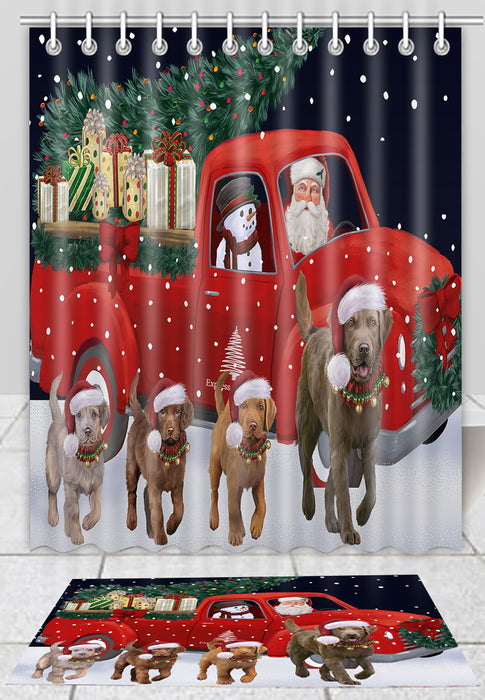 Christmas Express Delivery Red Truck Running Chesapeake Bay Retriever Dogs Bath Mat and Shower Curtain Combo