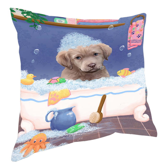 Rub A Dub Dog In A Tub Chesapeake Bay Retriever Dog Pillow with Top Quality High-Resolution Images - Ultra Soft Pet Pillows for Sleeping - Reversible & Comfort - Ideal Gift for Dog Lover - Cushion for Sofa Couch Bed - 100% Polyester, PILA90472