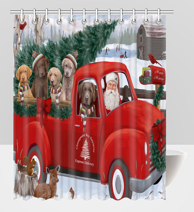 Christmas Santa Express Delivery Red Truck Chesapeake Bay Retriever Dogs Shower Curtain
