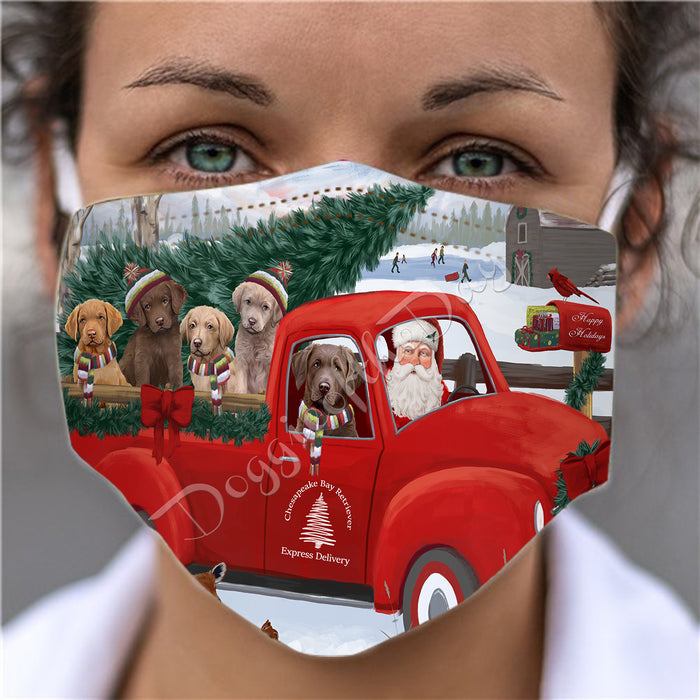 Christmas Santa Express Delivery Red Truck Chesapeake Bay Retriever Dogs Face Mask FM48428