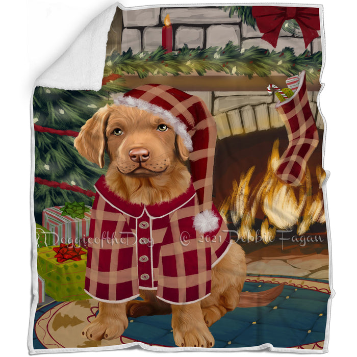 The Stocking was Hung Chesapeake Bay Retriever Dog Blanket BLNKT116850