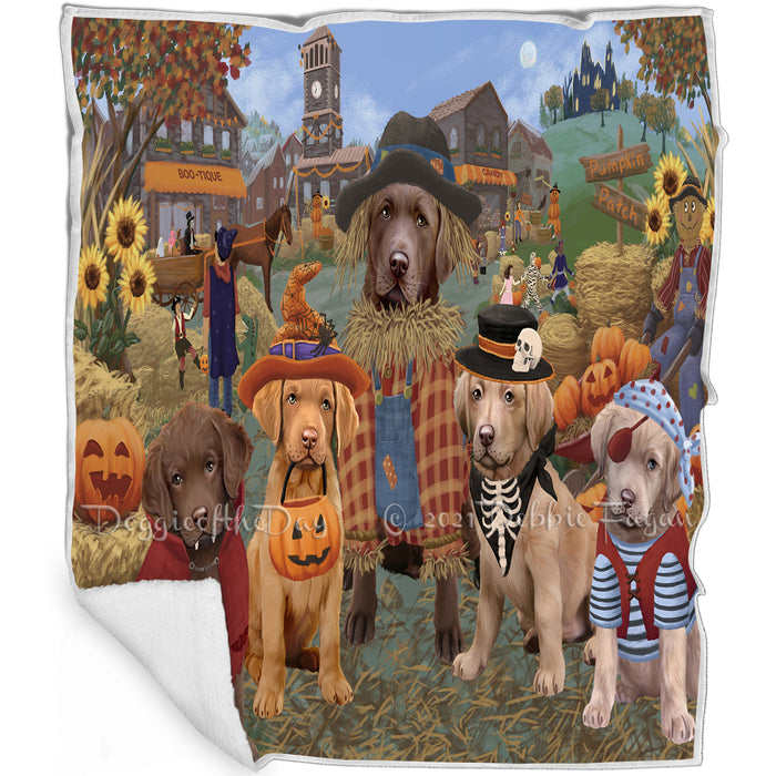 Halloween 'Round Town And Fall Pumpkin Scarecrow Both Chesapeake Bay Retriever Dogs Blanket BLNKT138845