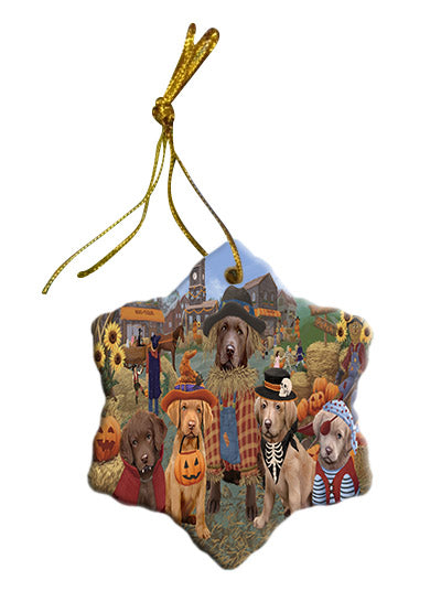 Halloween 'Round Town Chesapeake Bay Retriever Dogs Star Porcelain Ornament SPOR57487