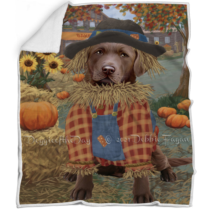 Halloween 'Round Town And Fall Pumpkin Scarecrow Both Chesapeake Bay Retriever Dogs Blanket BLNKT139394