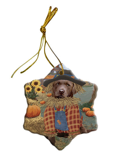 Fall Pumpkin Scarecrow Chesapeake Bay Retriever Dogs Star Porcelain Ornament SPOR57548