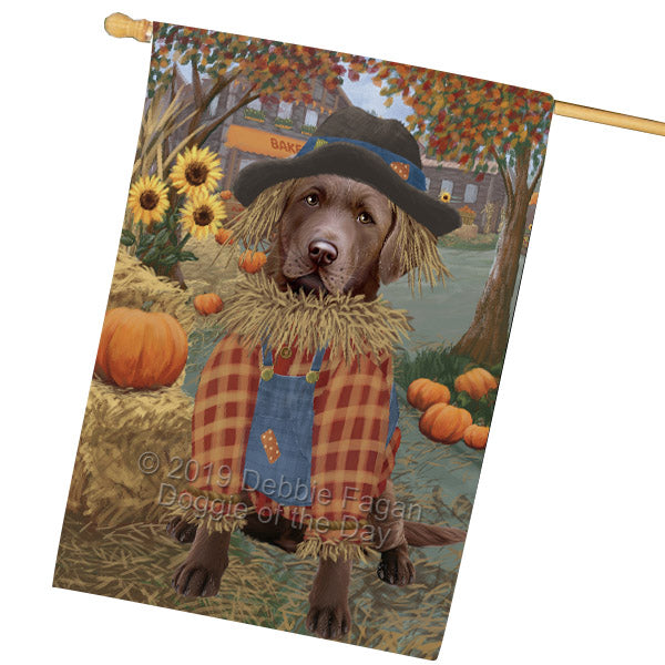 Halloween 'Round Town And Fall Pumpkin Scarecrow Both Chesapeake Bay Retriever Dogs House Flag FLG65704