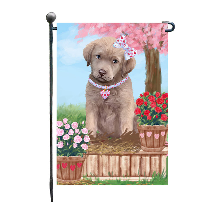 Personalized Rosie 25 Cent Kisses Chesapeake Bay Retriever Dog Custom Garden Flag GFLG64684
