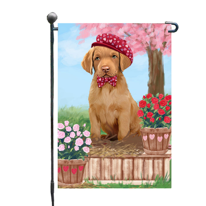 Personalized Rosie 25 Cent Kisses Chesapeake Bay Retriever Dog Custom Garden Flag GFLG64686