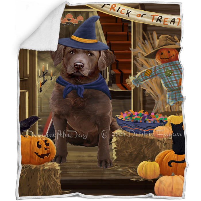 Enter at Own Risk Trick or Treat Halloween Chesapeake Bay Retriever Dog Blanket BLNKT95007