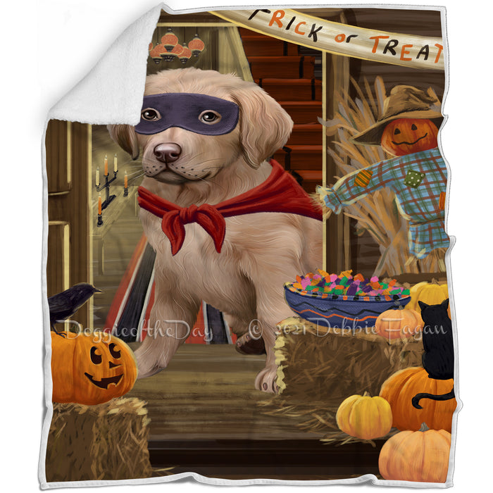 Enter at Own Risk Trick or Treat Halloween Chesapeake Bay Retriever Dog Blanket BLNKT95016