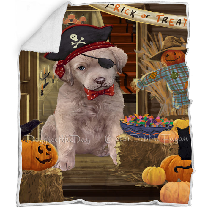 Enter at Own Risk Trick or Treat Halloween Chesapeake Bay Retriever Dog Blanket BLNKT95025