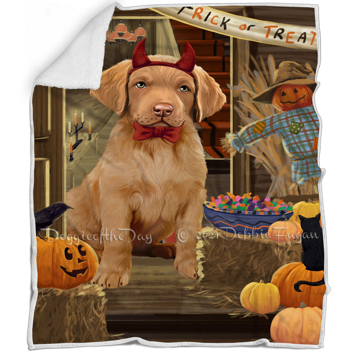 Enter at Own Risk Trick or Treat Halloween Chesapeake Bay Retriever Dog Blanket BLNKT95034