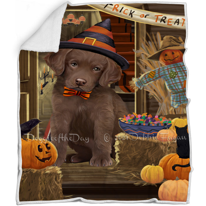 Enter at Own Risk Trick or Treat Halloween Chesapeake Bay Retriever Dog Blanket BLNKT95043