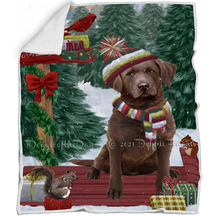 Merry Christmas Woodland Sled Chesapeake Bay Retriever Dog Blanket BLNKT113439