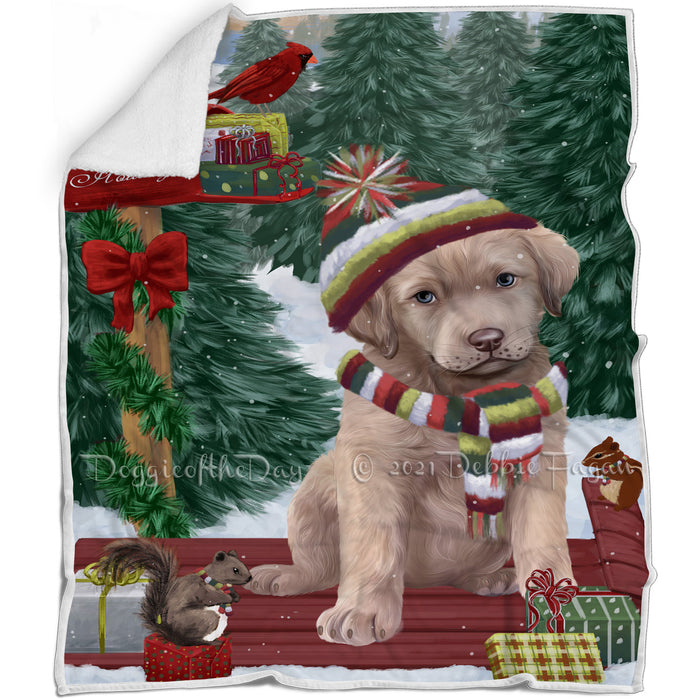 Merry Christmas Woodland Sled Chesapeake Bay Retriever Dog Blanket BLNKT113448