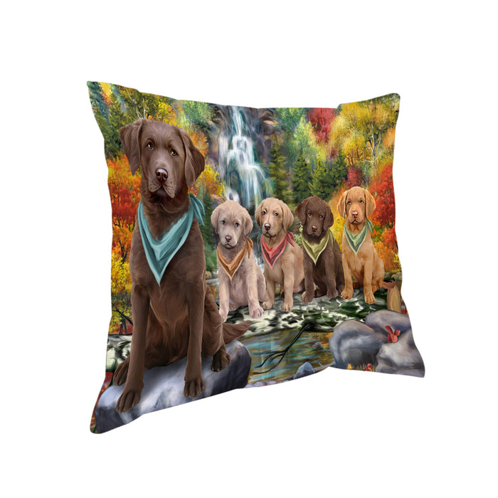 Scenic Waterfall Chesapeake Bay Retrievers Dog Pillow PIL54772