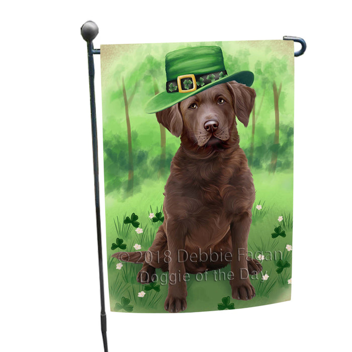 St. Patricks Day Irish Portrait Chesapeake Bay Retriever Dog Garden Flag GFLG48678
