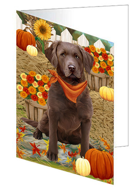Fall Autumn Greeting Chesapeake Bay Retriever Dog with Pumpkins Handmade Artwork Assorted Pets Greeting Cards and Note Cards with Envelopes for All Occasions and Holiday Seasons GCD56198