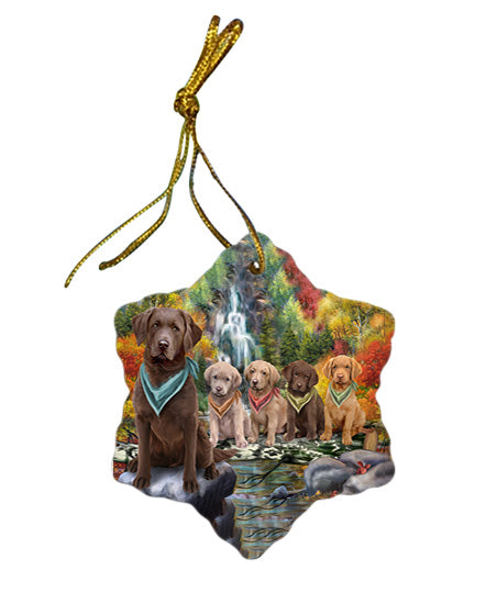 Scenic Waterfall Chesapeake Bay Retrievers Dog Star Porcelain Ornament SPOR49721