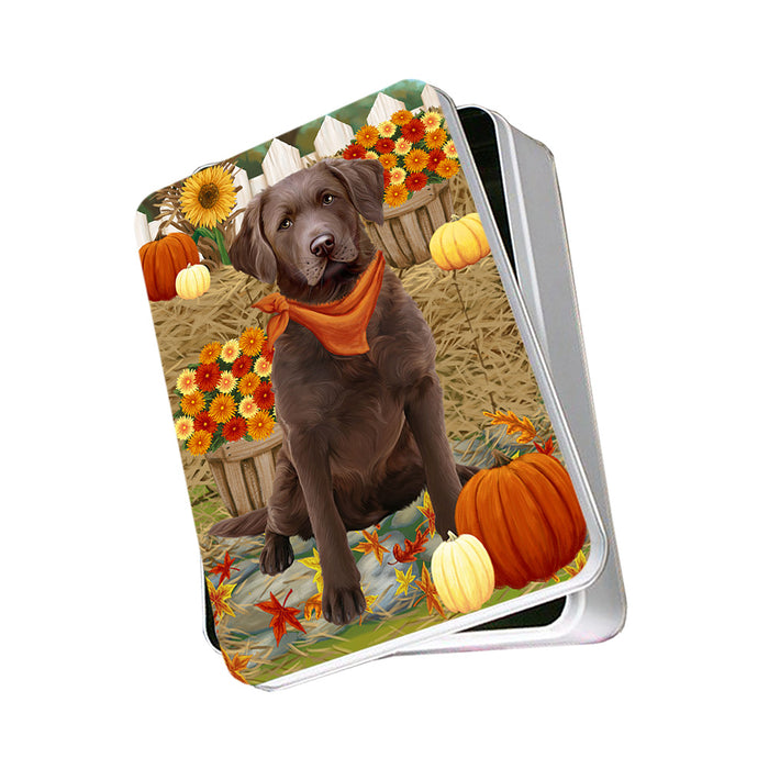 Fall Autumn Greeting Chesapeake Bay Retriever Dog with Pumpkins Photo Storage Tin PITN50723