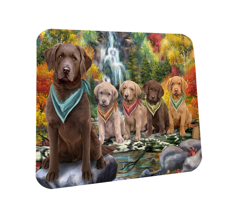 Scenic Waterfall Chesapeake Bay Retrievers Dog Coasters Set of 4 CST49638