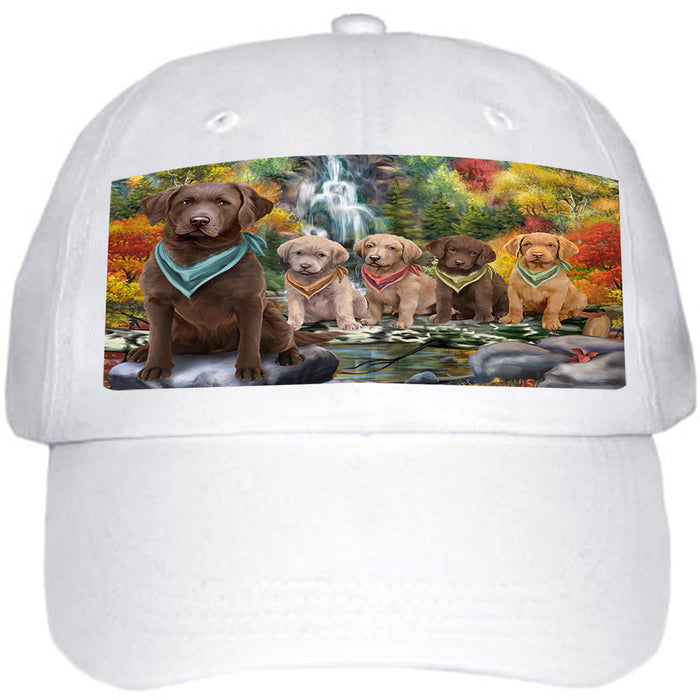 Scenic Waterfall Chesapeake Bay Retrievers Dog Ball Hat Cap HAT52920