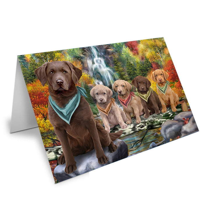 Scenic Waterfall Chesapeake Bay Retrievers Dog Handmade Artwork Assorted Pets Greeting Cards and Note Cards with Envelopes for All Occasions and Holiday Seasons GCD53216