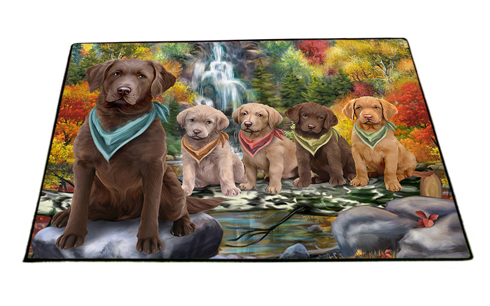 Scenic Waterfall Chesapeake Bay Retrievers Dog Floormat FLMS50067