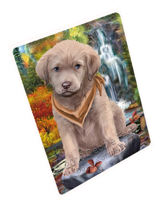 Scenic Waterfall Chesapeake Bay Retrievers Dog Tempered Cutting Board C53055