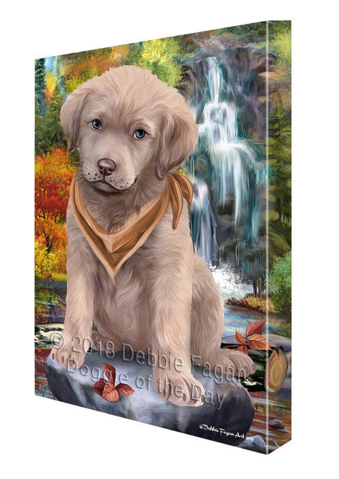 Scenic Waterfall Chesapeake Bay Retriever Dog Canvas Wall Art CVS63322