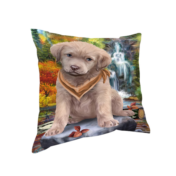 Scenic Waterfall Chesapeake Bay Retriever Dog Pillow PIL54776