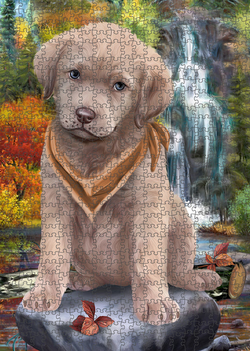 Scenic Waterfall Chesapeake Bay Retriever Dog Puzzle with Photo Tin PUZL52896