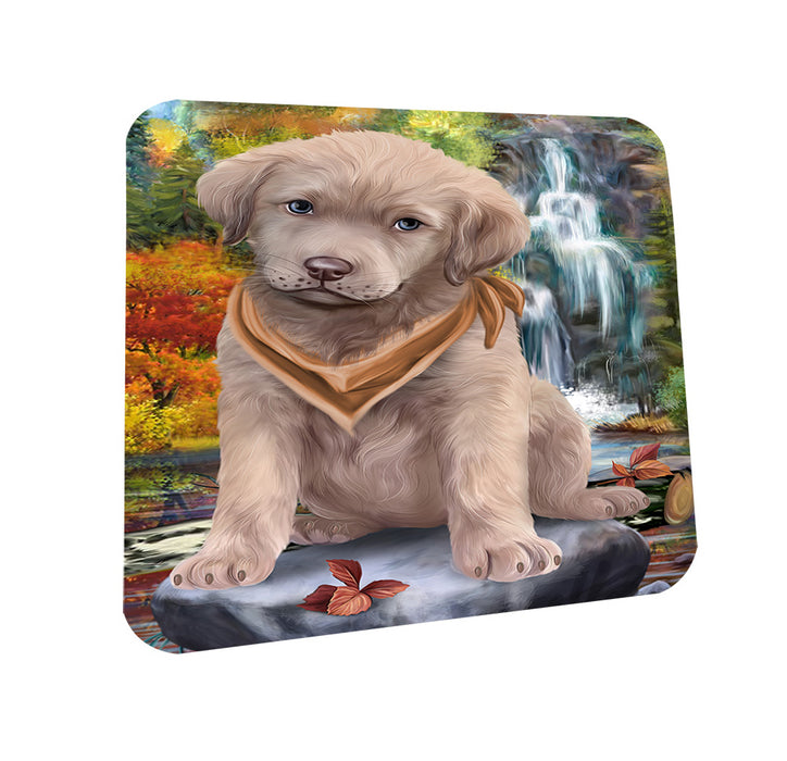 Scenic Waterfall Chesapeake Bay Retriever Dog Coasters Set of 4 CST49639