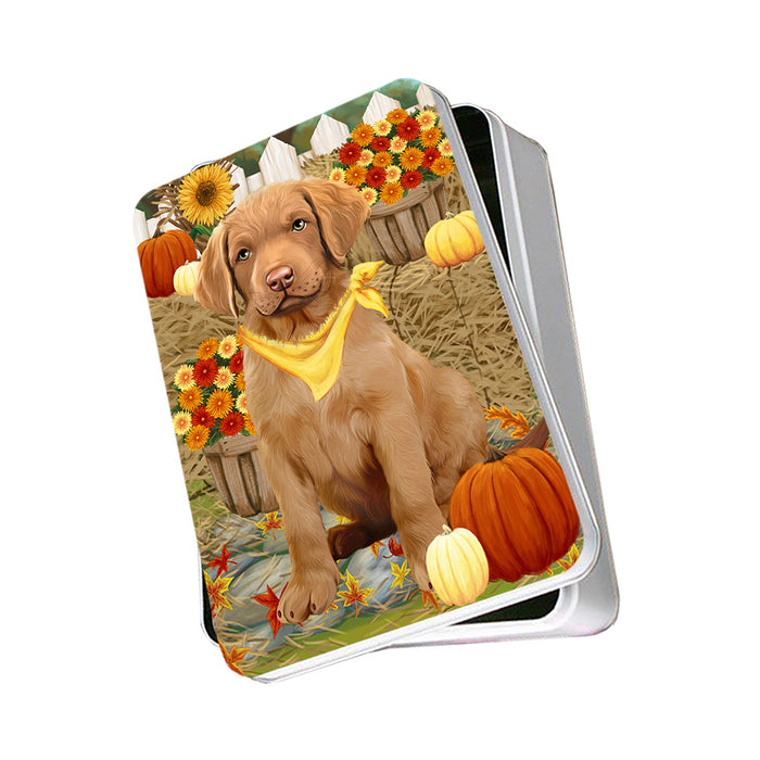 Fall Autumn Greeting Chesapeake Bay Retriever Dog with Pumpkins Photo Storage Tin PITN50724