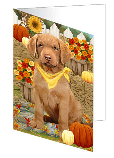 Fall Autumn Greeting Chesapeake Bay Retriever Dog with Pumpkins Handmade Artwork Assorted Pets Greeting Cards and Note Cards with Envelopes for All Occasions and Holiday Seasons GCD56201