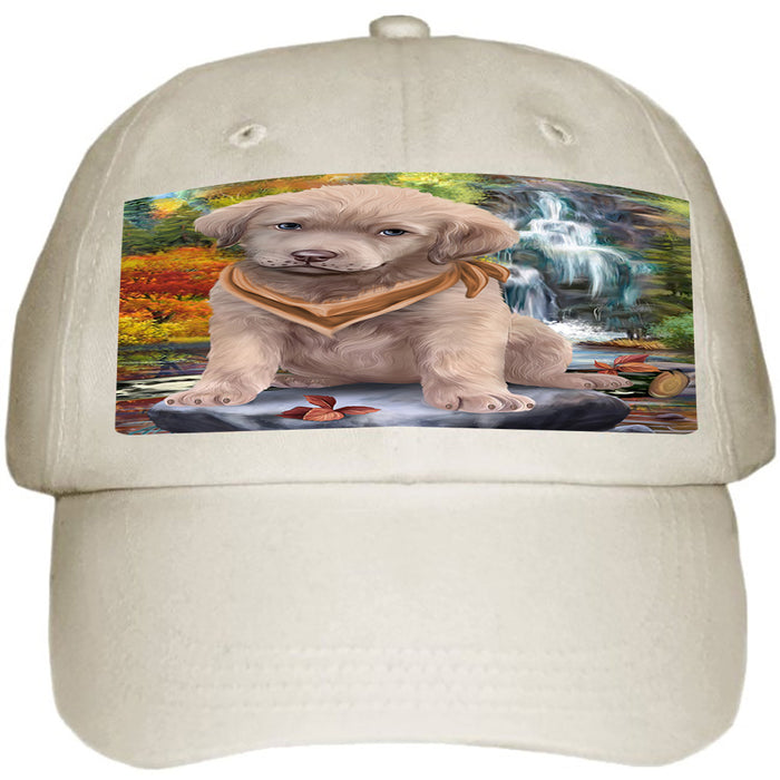 Scenic Waterfall Chesapeake Bay Retriever Dog Ball Hat Cap HAT52923