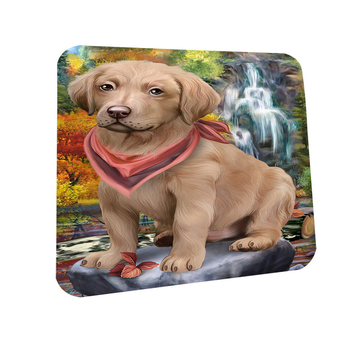 Scenic Waterfall Chesapeake Bay Retriever Dog Coasters Set of 4 CST49640