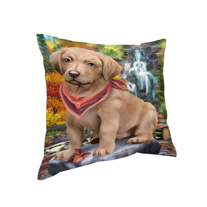Scenic Waterfall Chesapeake Bay Retriever Dog Pillow PIL54780