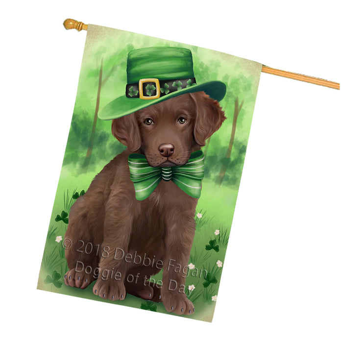 St. Patricks Day Irish Portrait Chesapeake Bay Retriever Dog House Flag FLG48736