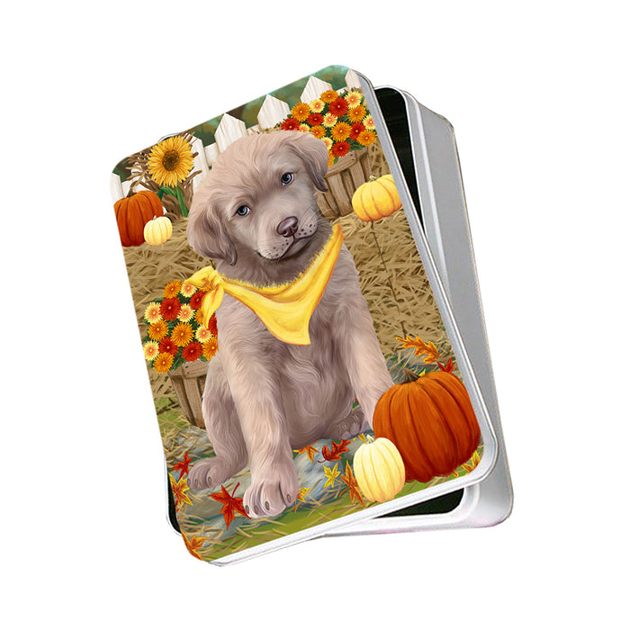 Fall Autumn Greeting Chesapeake Bay Retriever Dog with Pumpkins Photo Storage Tin PITN50725