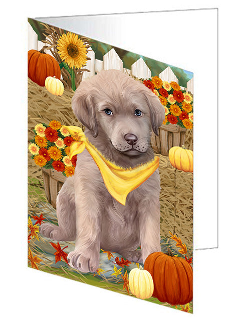 Fall Autumn Greeting Chesapeake Bay Retriever Dog with Pumpkins Handmade Artwork Assorted Pets Greeting Cards and Note Cards with Envelopes for All Occasions and Holiday Seasons GCD56204