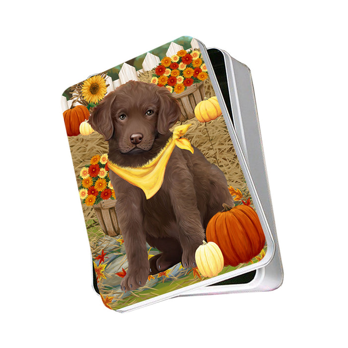 Fall Autumn Greeting Chesapeake Bay Retriever Dog with Pumpkins Photo Storage Tin PITN50726