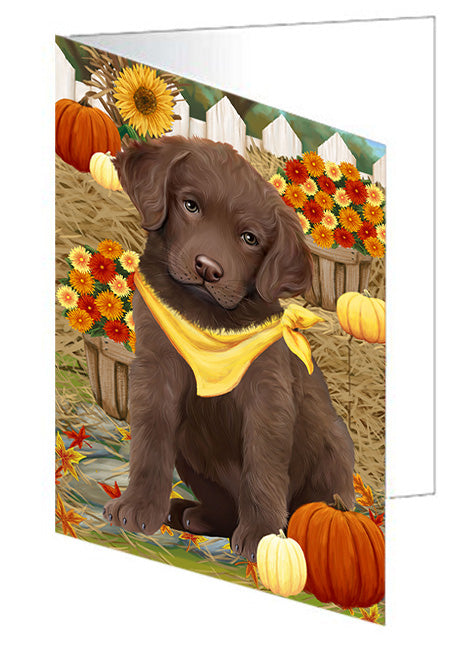 Fall Autumn Greeting Chesapeake Bay Retriever Dog with Pumpkins Handmade Artwork Assorted Pets Greeting Cards and Note Cards with Envelopes for All Occasions and Holiday Seasons GCD56207