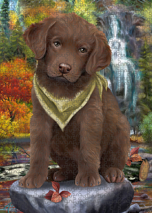 Scenic Waterfall Chesapeake Bay Retriever Dog Puzzle with Photo Tin PUZL52902