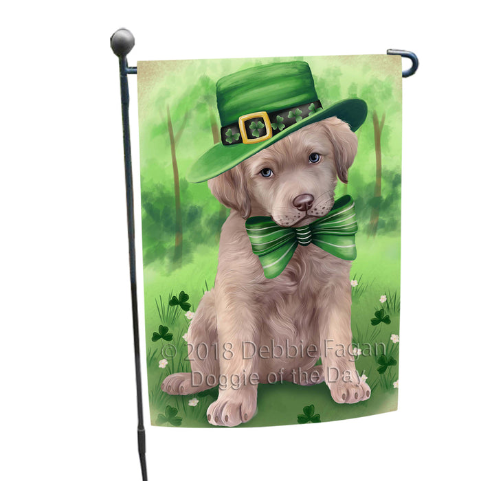 St. Patricks Day Irish Portrait Chesapeake Bay Retriever Dog Garden Flag GFLG48681