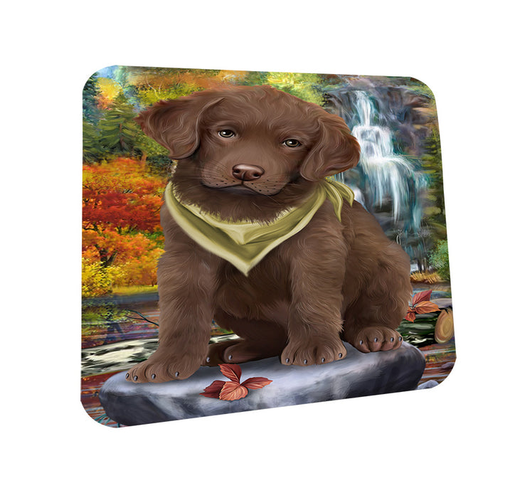 Scenic Waterfall Chesapeake Bay Retriever Dog Coasters Set of 4 CST49641