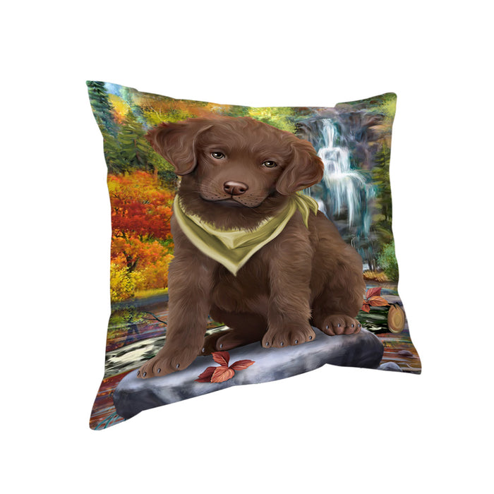 Scenic Waterfall Chesapeake Bay Retriever Dog Pillow PIL54784