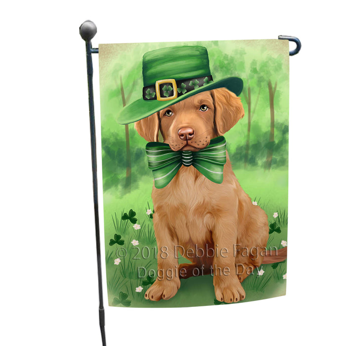 St. Patricks Day Irish Portrait Chesapeake Bay Retriever Dog Garden Flag GFLG48682
