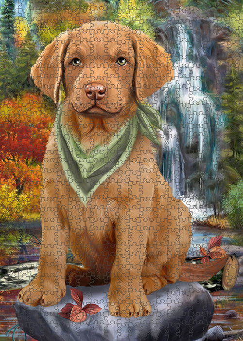 Scenic Waterfall Chesapeake Bay Retriever Dog Puzzle with Photo Tin PUZL52905